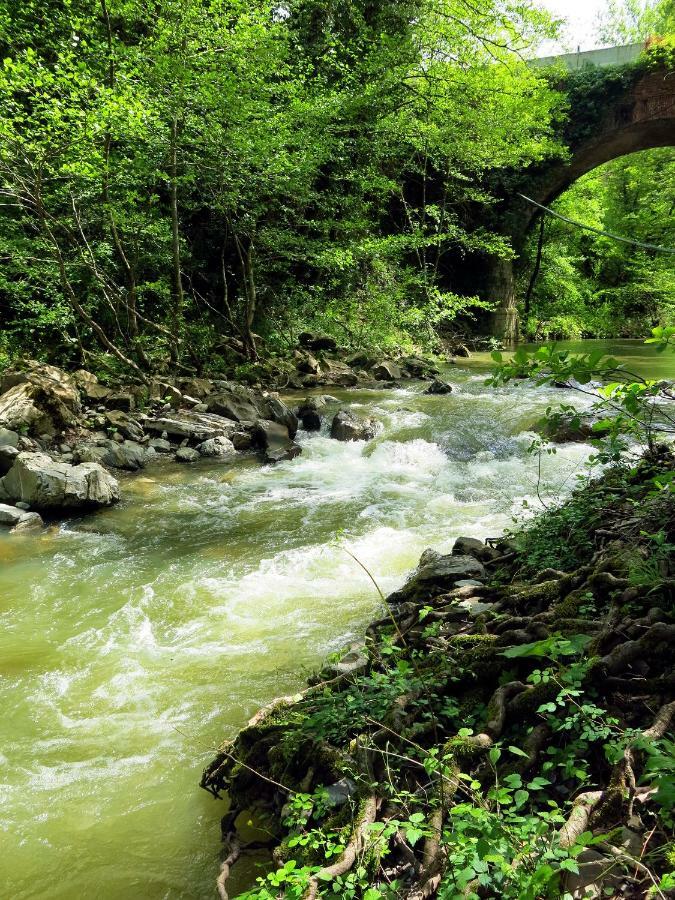 Andante Appartamenti Castelnuovo di Val di Cecina Εξωτερικό φωτογραφία