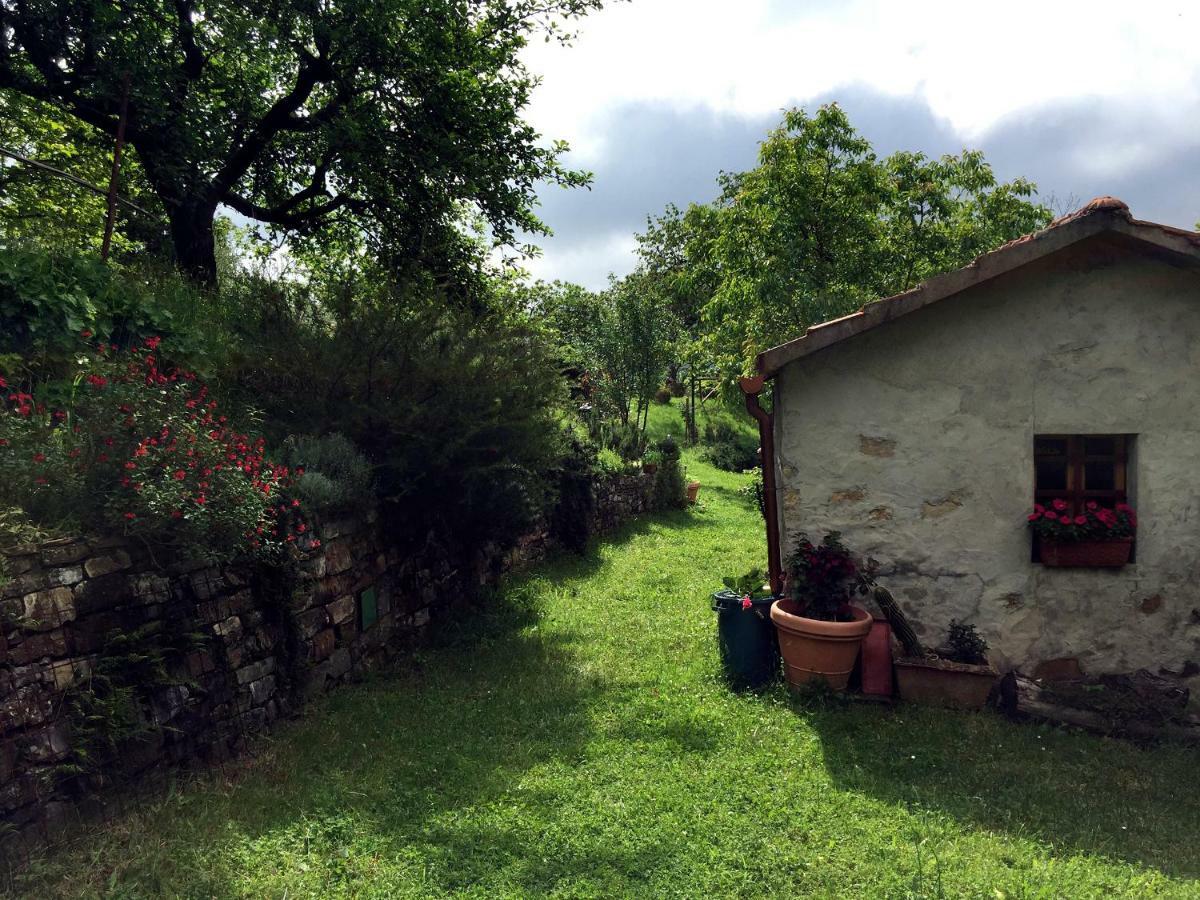 Andante Appartamenti Castelnuovo di Val di Cecina Εξωτερικό φωτογραφία