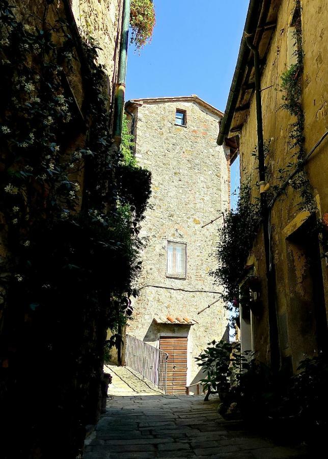 Andante Appartamenti Castelnuovo di Val di Cecina Εξωτερικό φωτογραφία